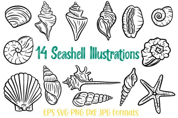 14 Seashell Shell Illustration SVG Logo for Crafting & Graphic Design