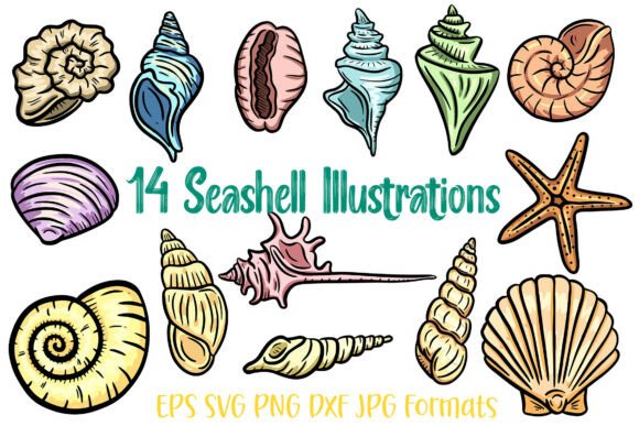 14 Seashell Shells Clipart Illustration: A Versatile Graphic Design Asset for Content Creators