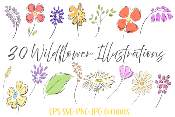 30 Wildflowers Hand-Drawn Clipart for Spring Graphics & Layer Styles